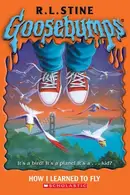 Book cover of How I Learned to Fly