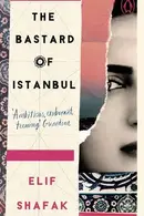 Book cover of The Bastard of Istanbul