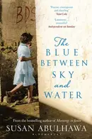 Book cover of The blue between sky and water