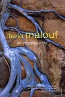 Book cover of An imaginary life