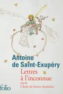 Book cover of Lettres à l'inconnue/Choix de lettres dessinées