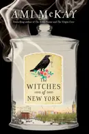 Book cover of The Witches of New York