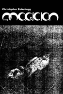 Book cover of The Magician