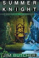 Book cover of Summer Knight