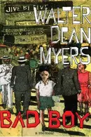 Book cover of Bad Boy