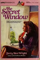 Book cover of The Secret Window