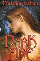 Book cover of Dark Fire