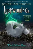 Book cover of The Hollow Boy