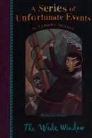 Book cover of The Wide Window