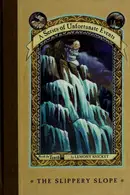 Book cover of The Slippery Slope
