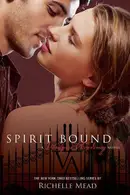 Book cover of Spirit Bound