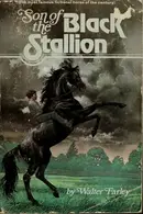 Book cover of Son of the Black Stallion
