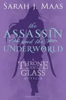 Book cover of The Assassin and the Underworld