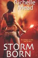 Book cover of Storm Born