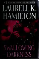 Book cover of Swallowing Darkness