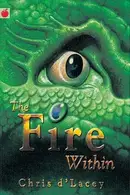 Book cover of The fire within
