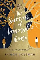 Book cover of The Summer of Impossible Things