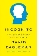 Book cover of Incognito