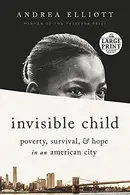 Book cover of Invisible Child