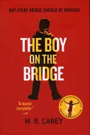 Book cover of The boy on the bridge