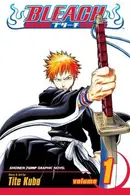 Book cover of Bleach, Vol. 1 (Library Edition)