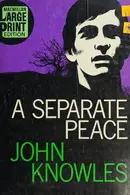 Book cover of A Separate Peace