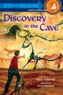 Book cover of Discovery in the cave