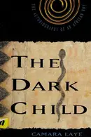Book cover of Enfant noir