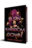 Book cover of Burn the Kingdom Down