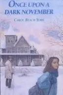 Book cover of Once upon a dark November