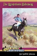 Book cover of Mysterious hideaway