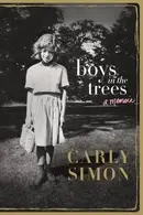 Book cover of Boys in the Trees