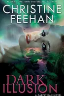 Book cover of Dark Illusion