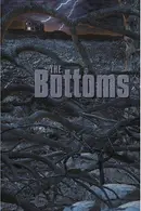 Book cover of The Bottoms