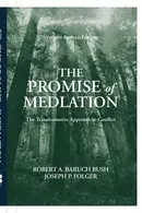 Book cover of The promise of mediation