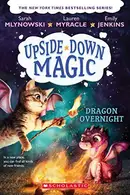 Book cover of Dragon overnight