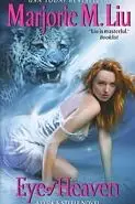 Book cover of Eye of Heaven