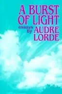Book cover of A burst of light
