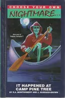 Book cover of It happened at Camp Pine Tree