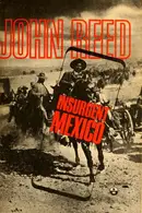 Book cover of Insurgent Mexico