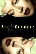 Book cover of Big blondes