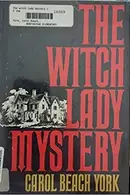 Book cover of The witch lady mystery