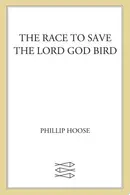Book cover of The Race to Save the Lord God Bird