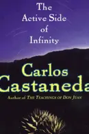 Book cover of The active side of infinity