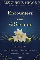 Book cover of Encounters with the Saviour