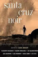 Book cover of Santa Cruz Noir