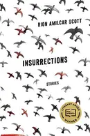Book cover of Insurrections