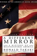 Book cover of A Different Mirror