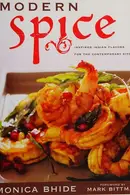 Book cover of Modern Spice