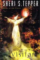 Book cover of The Visitor